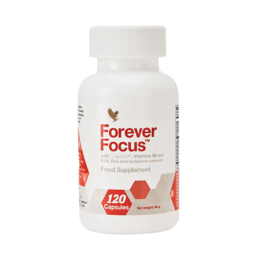 Focus Supports Brain Dna Synthesis And Repair
