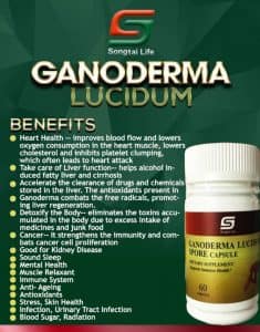 Ganoderma Lucidum Spore Extract Capsules