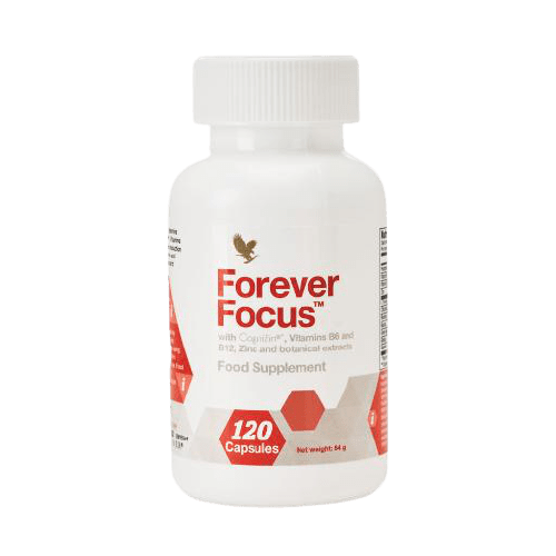 Focus Supports Brain Dna Synthesis And Repair